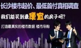 楼市频道爆料视频,揭秘最新楼市动态与趋势