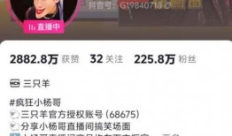 李千金被爆料的视频大全,揭秘背后真相与争议