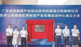 蓝海新学校爆料新闻事件,揭秘校园内幕引发社会关注