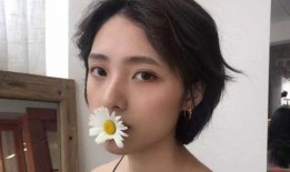 陈丹丹小说爆料大全最新,揭秘幕后故事与创作灵感