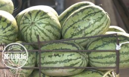 网红一天吃三个瓜,一天三瓜，揭秘娱乐圈那些事儿