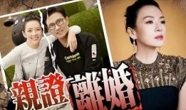 刘大锤最新爆料后续视频,揭秘事件背后惊人真相