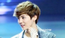 娱乐圈爆料鹿晗刘诗诗,娱乐圈恋情曝光！”