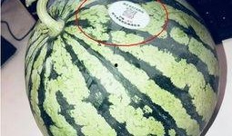 兴化网红吃瓜,揭秘网络红人的真实一面