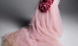 婚纱女王被爆料视频,揭秘幕后真相与时尚圈风云