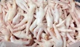 鸡爪养殖爆料视频大全,视频大全带你走进神秘产业