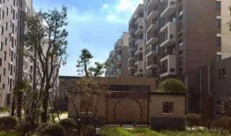 利维斯最新爆料视频网页,独家内幕大公开！