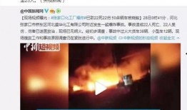 三盛集团爆料事件始末视频,真相揭秘与舆论风波全纪录