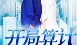 算计在线观看,揭秘网络世界的暗流涌动