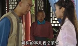 纪晓岚1在线观看,穿越时空的智慧传奇