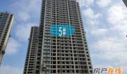 桃源新建筑爆料视频,揭秘未来城市风貌