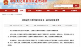 江苏今日爆料连云港疫情,追踪江苏连云港疫情发展情况