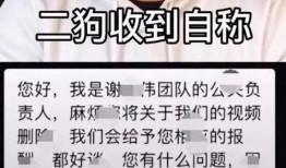 直播爆料翻车视频,真相与谣言的碰撞