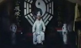 太极国语在线观看,探寻东方哲学的智慧之旅