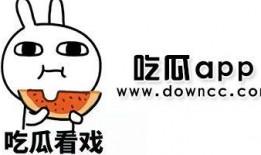 网红吃瓜网站app,揭秘娱乐圈幕后真相，带你畅游八卦海洋