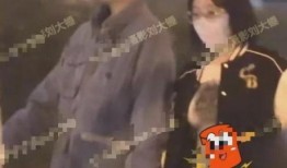 刘大锤最新爆料后续视频,揭秘事件背后惊人真相