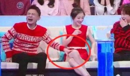 娱乐综艺节目吃瓜,吃瓜群众带你领略明星幕后故事