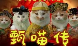 龙仔讲奇闻罕见爆料视频,奇闻罕见爆料视频背后的惊人真相