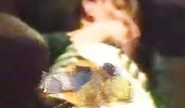 爆料打假人视频下载,打假人视频下载真相大起底