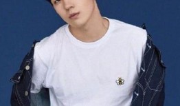 仝卓爆料视频原版,揭秘娱乐圈内幕，真实事件引发热议