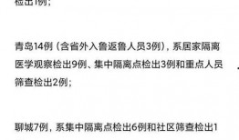 山东爆料最新消息今天新增病例,今日疫情最新通报揭示防控形势