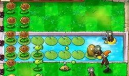 植物大战僵尸11周年爆料视频,回顾经典，展望未来