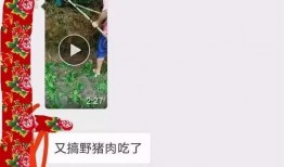 猪肉爆料视频大全最新,揭秘行业黑幕，守护餐桌安全