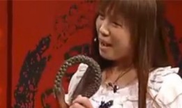 爆料马二小姐视频大全,揭秘网络红人的魅力瞬间