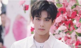 狗仔爆料宋威龙视频,宋威龙私密视频意外曝光，真相揭秘