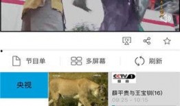 国内超级视频在线观看,国内热门超级视频在线观看指南