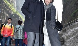 唯一继承者在线观看1,揭秘神秘家族的传承之谜