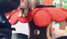 吃瓜翻车搞笑视频大全免费观看,笑料百出！免费观看吃瓜翻车搞笑视频大全