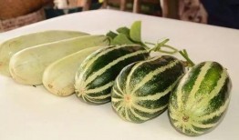 网红吃瓜到自己身上,揭秘娱乐圈背后的真相