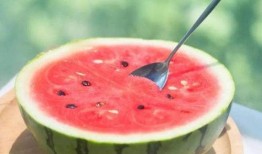 西瓜视频观观爆料箱,揭秘热门视频背后的故事与幕后花絮