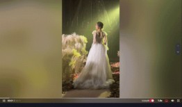 新晋女网红爆料视频,背后真相令人震惊