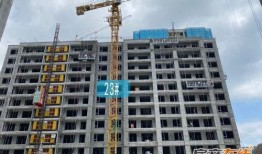 桃源新建筑爆料视频,揭秘未来城市风貌