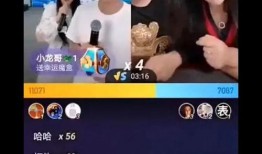 二蛋爆料三斤录音视频下载,揭秘事件真相