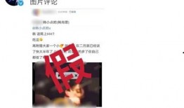 爆料打假人视频下载,打假人视频下载真相大起底