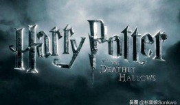 哈利一周年爆料了吗视频,揭秘幕后精彩瞬间