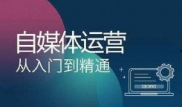 热点民声爆料怎么做视频,视频制作攻略全解析
