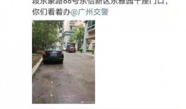 广州车牌最新爆料,摇号难度再升级，政策调整全解析