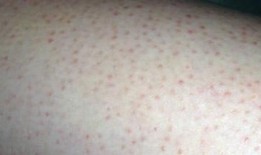 吃鸡皮肤游戏爆料大全最新,盘点最新热门角色与特效