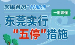 东莞社会新闻爆料,聚焦民生热点，揭秘事件真相