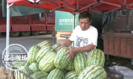 网红一天吃三个瓜,一天三瓜，揭秘娱乐圈那些事儿