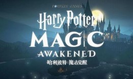 哈利一周年爆料了吗视频,揭秘幕后精彩瞬间