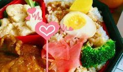 温州美食爆料视频下载网站,揭秘热门爆料视频下载网站