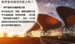 爆料视频完整版第二期,揭秘事件背后惊人真相