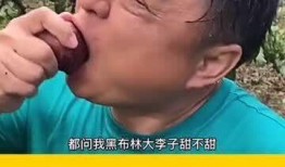 吃瓜翻车搞笑视频大全免费观看,笑料百出！免费观看吃瓜翻车搞笑视频大全