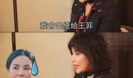 爆料王菲打牌视频,揭秘天后打牌瞬间