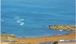 海角社区海角爆料新闻,揭秘海角社区最新热点事件